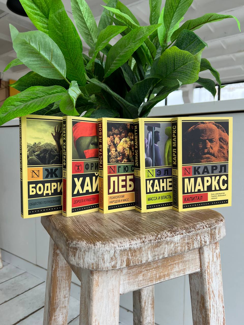 Маса і влада